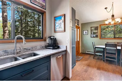 1231 W Midland Avenue, Woodland Park, CO 80863 - Photo 9