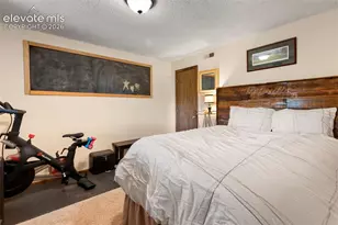1231 W Midland Ave, Woodland Park, CO 80863 - Photo 29