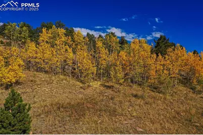 230 Penrose Circle, Cripple Creek, CO 80813 - Photo 21