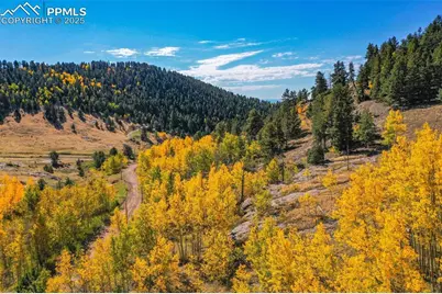 230 Penrose Circle, Cripple Creek, CO 80813 - Photo 47