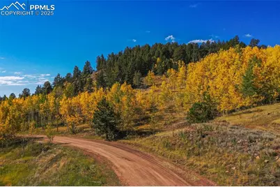 230 Penrose Circle, Cripple Creek, CO 80813 - Photo 45