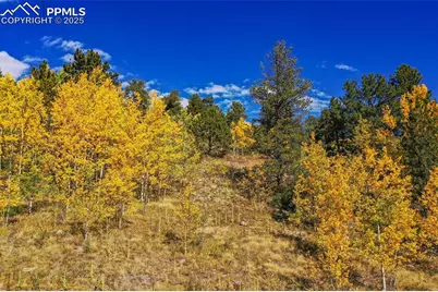 230 Penrose Circle, Cripple Creek, CO 80813 - Photo 41