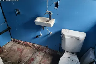 37131 Hwy 24, Matheson, CO 80830 - Photo 5