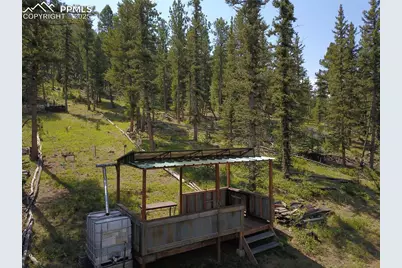 10223 Trail Creek Road, Florissant, CO 80816 - Photo 29