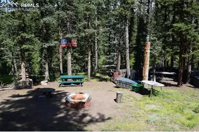 10223 Trail Creek Road, Florissant, CO 80816 - Photo 33
