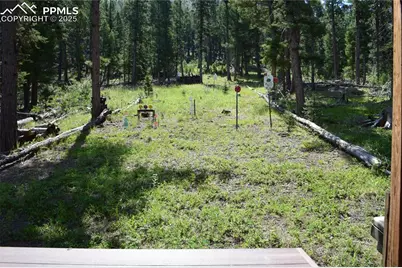10223 Trail Creek Road, Florissant, CO 80816 - Photo 31