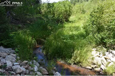10223 Trail Creek Road, Florissant, CO 80816 - Photo 15