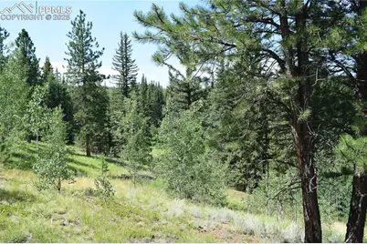 10223 Trail Creek Road, Florissant, CO 80816 - Photo 39