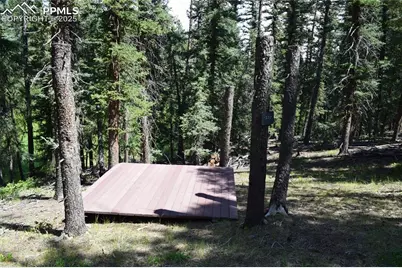 10223 Trail Creek Road, Florissant, CO 80816 - Photo 37