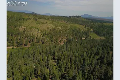 10223 Trail Creek Road, Florissant, CO 80816 - Photo 9