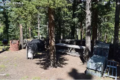 10223 Trail Creek Road, Florissant, CO 80816 - Photo 35