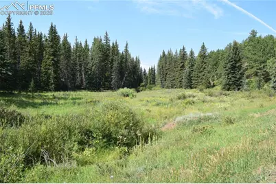 10223 Trail Creek Road, Florissant, CO 80816 - Photo 13