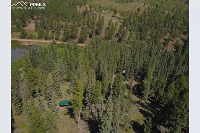 10223 Trail Creek Road, Florissant, CO 80816 - Photo 7