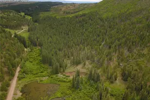 10223 Trail Creek Rd, Florissant, CO 80816 - Photo 1