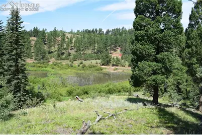 10223 Trail Creek Road, Florissant, CO 80816 - Photo 17