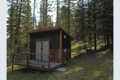 10223 Trail Creek Road, Florissant, CO 80816 - Photo 23