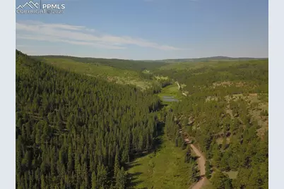 10223 Trail Creek Road, Florissant, CO 80816 - Photo 11