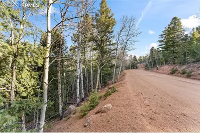 728 Little Topsey Drive, Cripple Creek, CO 80813 - Photo 19