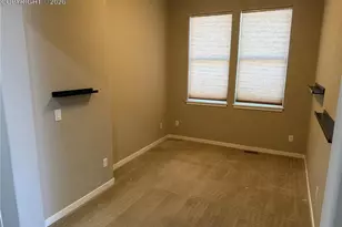 5241 Kenosha Pass Ct, Colorado Springs, CO 80924 - Photo 3