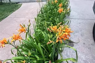 210 Mesa Ave, Manitou Springs, CO 80829 - Photo 41