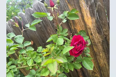 210 Mesa Avenue, Manitou Springs, CO 80829 - Photo 43