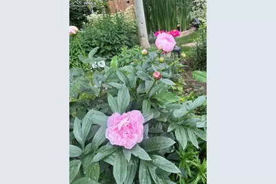 210 Mesa Avenue, Manitou Springs, CO 80829 - Photo 45