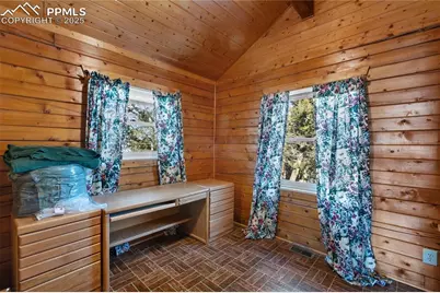 730 Cheyenne Creek Drive, Lake George, CO 80827 - Photo 11