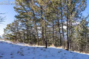 730 Cheyenne Creek Dr, Lake George, CO 80827 - Photo 29