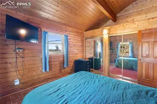 730 Cheyenne Creek Dr, Lake George, CO 80827 - Photo 23