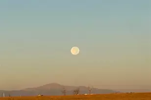 37155 E Jones Rd, Yoder, CO 80864 - Photo 47