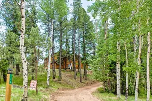 130 Paint Pony Ln, Florissant, CO 80816 - Photo 13