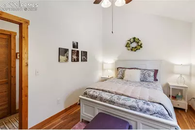 130 Paint Pony Lane, Florissant, CO 80816 - Photo 41