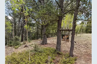 1052 Crown Point Circle, Cripple Creek, CO 80813 - Photo 39