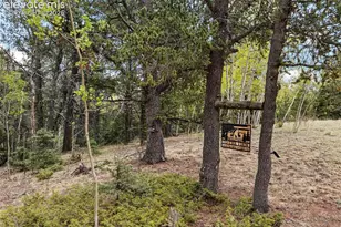 1052 Crown Point Cir, Cripple Creek, CO 80813 - Photo 39