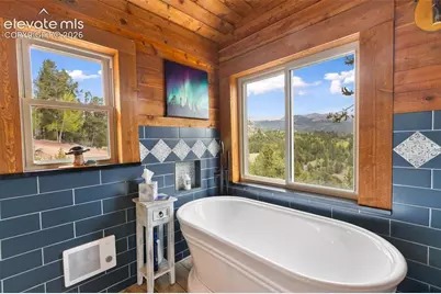 1052 Crown Point Circle, Cripple Creek, CO 80813 - Photo 21