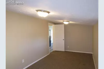 217 N Vine Street, Fountain, CO 80817 - Photo 17