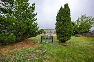 7647 Whiptail Point, Colorado Springs, CO 80922 - Photo 41