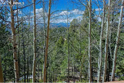 336 Witherite Drive, Divide, CO 80814 - Photo 5