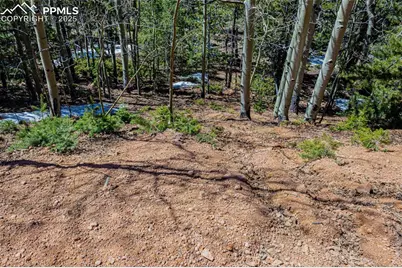 336 Witherite Drive, Divide, CO 80814 - Photo 3