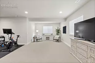 10253 Noguchi Wy, Colorado Springs, CO 80924 - Photo 37