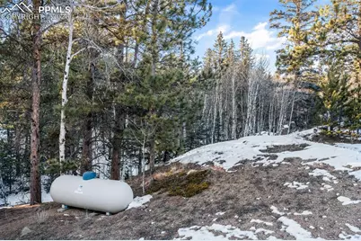 1001 E Bison Creek Trail, Divide, CO 80814 - Photo 45