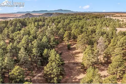 18230 Cumbres Court, Peyton, CO 80831 - Photo 39