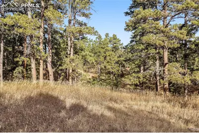 18230 Cumbres Court, Peyton, CO 80831 - Photo 37