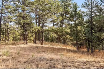 18230 Cumbres Court, Peyton, CO 80831 - Photo 29
