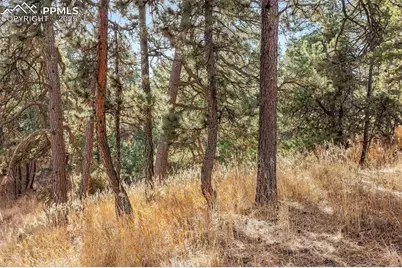 18230 Cumbres Court, Peyton, CO 80831 - Photo 31