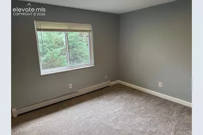 318 Bonnie Court, Colorado Springs, CO 80916 - Photo 21