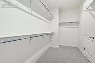 8663 Noreen Falls Dr, Colorado Springs, CO 80924 - Photo 25