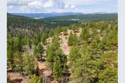 93 Kiowa Creek Trail, Florissant, CO 80816 - Photo 9