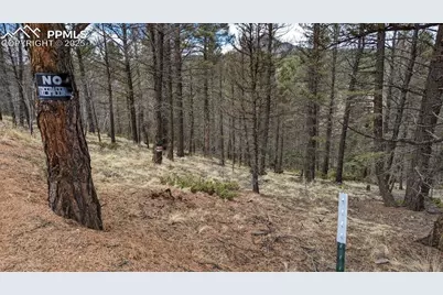 93 Kiowa Creek Trail, Florissant, CO 80816 - Photo 11