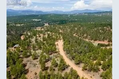 93 Kiowa Creek Trail, Florissant, CO 80816 - Photo 7